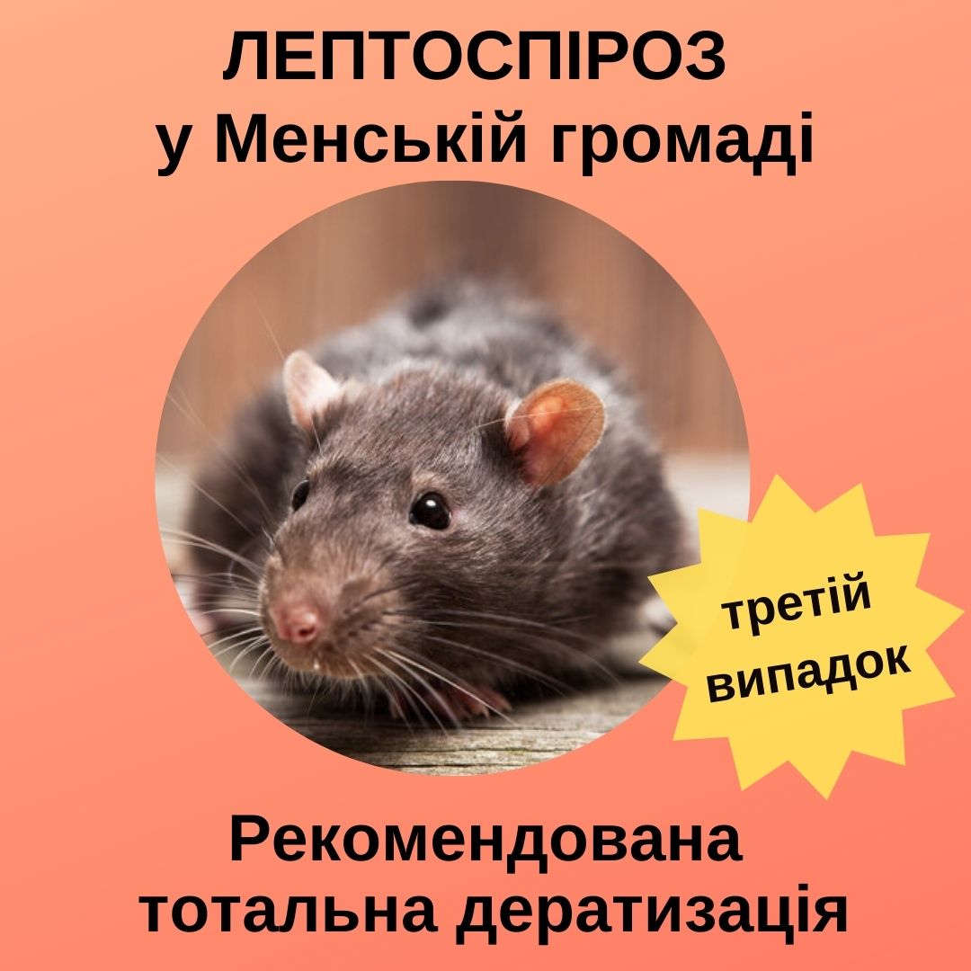 Фотографія